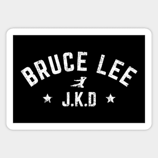 Jeet Kune Do Kick distressed 2 Magnet